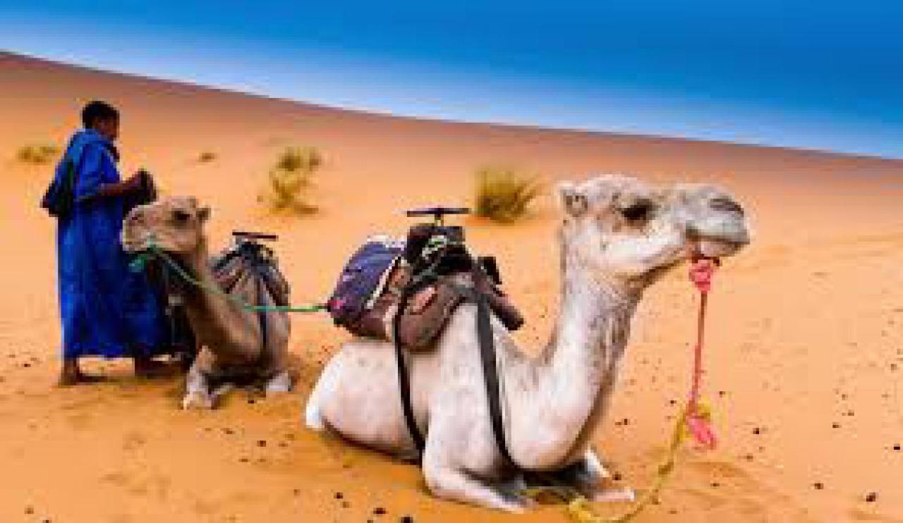 Les Pyramides Hotel Merzouga Luaran gambar